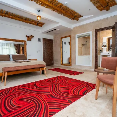 Hotel Pasha Palace