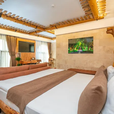 Pasha Palace Hotel
