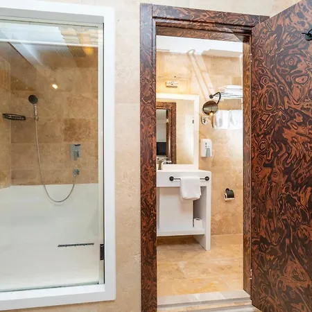 ホテル Pasha Palace 3*