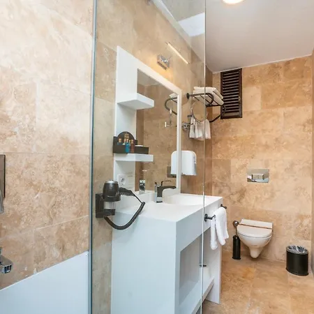 ホテル Pasha Palace 3*