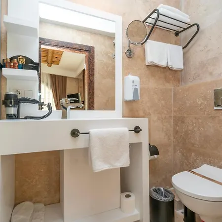 Pasha Palace ホテル